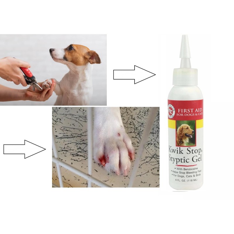 Dog Grooming Injury Barrier 4oz Applicator Top Kwik Stop Styptic