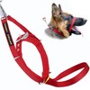 Canny Collar No Pull Dog Head Collar, Lead Training Head