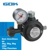 GOK Gas Pressure Regulator EN61-DS PRO 1.5 kg/h Black with