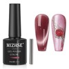 MIZHSE Cat Eye Gel Nail Polish: Red Magnetic Gel Polish