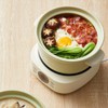 Bear Electric Clay Pot DSG-D30S1, Fast Stew Pot for Casserole