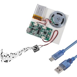 ALMOCN Sound Recorder Module 16MB Push Button Activated Sound Module with Speaker DIY Music Voice Recording + Type-C Cable for DIY Music Box Greeting Card DIY Projects