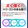 Mongo Ryu Shampoo EX Vol. 17 Renewal Scalp Shampoo for
