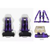 Aniki Dynamics 2X ANIKI PURPLE 4 POINT AIRCRAFT BUCKLE SEAT