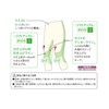 Wacoal Wacoal DGL510 Girdle for Women (Below Knee Length) Legs