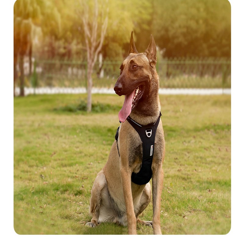 WINHYEPET No-Pull Dog Harness,Adjustable Outdoor Vest Reflective Nylon Soft Pet