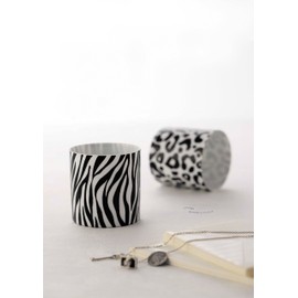 Safari Lock Cup AM – SA – 1224 