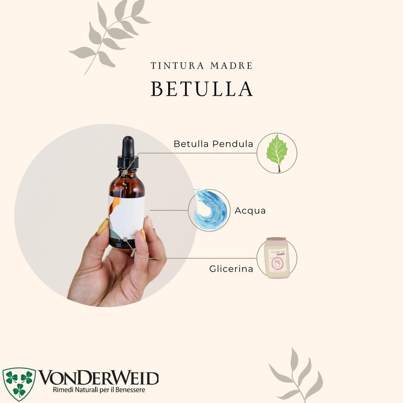 Vonderweid - Alcohol-free Birch Mother Tincture | Glycerine Extract |