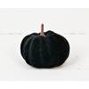 Small Decorative Velvet Pumpkins, Set of 6 (Black)