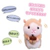 Monomane-chan Animal, Voice Man, Talk, Move, Dance, Talk, Stuffed Toy,