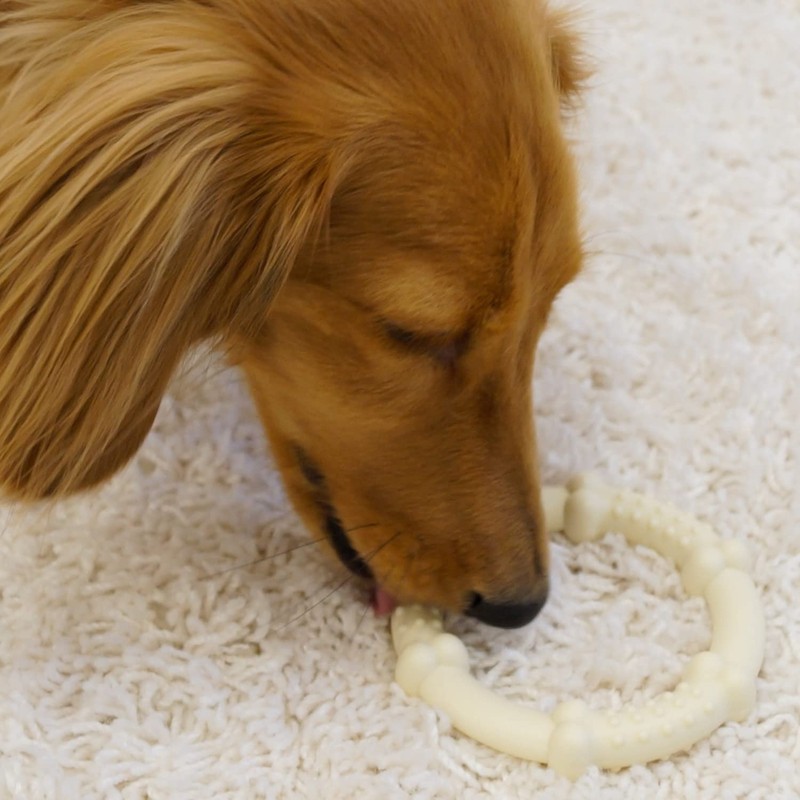 Doggy Man Gassi Ring Small x 3 Pieces