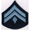 pick 1 FL or GA Police rank patch: Bulloch/Woodst