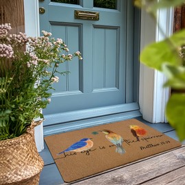 XLDLIOO Christian Colorful Birds Door Mat,His Eye Is on The Sparrow Matthew Welcome Front Door Mat Indoor Outdoor Entrance,Rustic Bible Verse Artificial Coir Doormat Rugs for Patio Entry Decor 30x17in