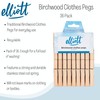 Elliott Hardwood Clothes Pegs with Metal Coil Spring for Firm