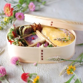 Magewappa Men's Slim Lunch Box, 1-Tier, Natural, 24.4 fl oz (720 cc)