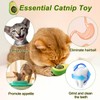 Havenfly Pack of 2 Rotating Catnip Ball, Catnip Toy Wall