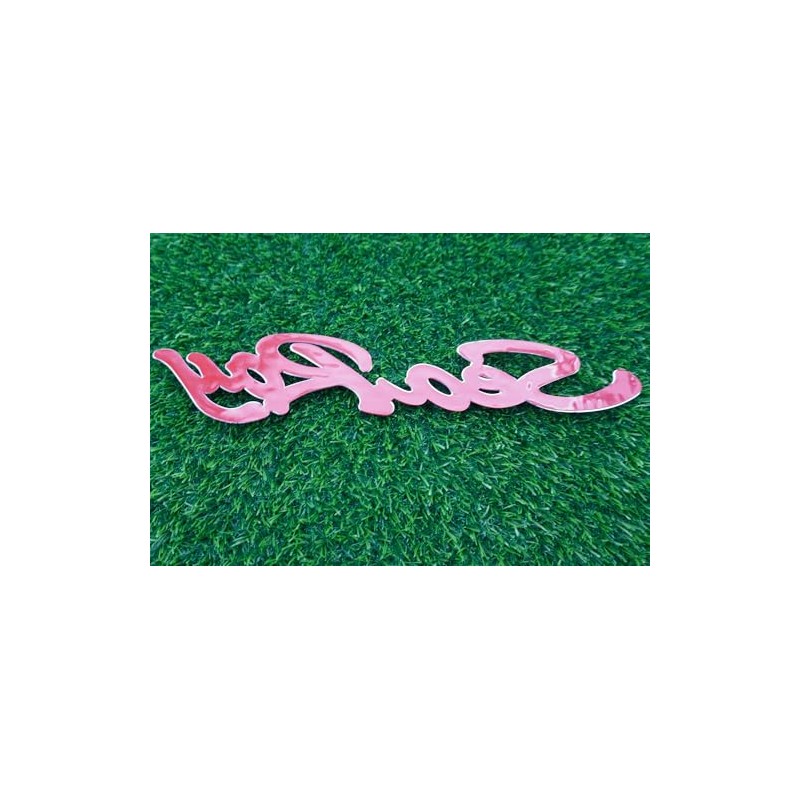 1x Sea Ray Searay Script Boat Letters Logo Badge 3D