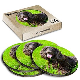 4 x Round Coasters - Irish Water Spaniel Dog Breed Puppy Cork Backed MDF Glossy Tea Coffee Accessory #51234