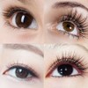 Lunamoon Volume Eyelashes, 4D W Eyelash Extension, Premade Fans Eyelash