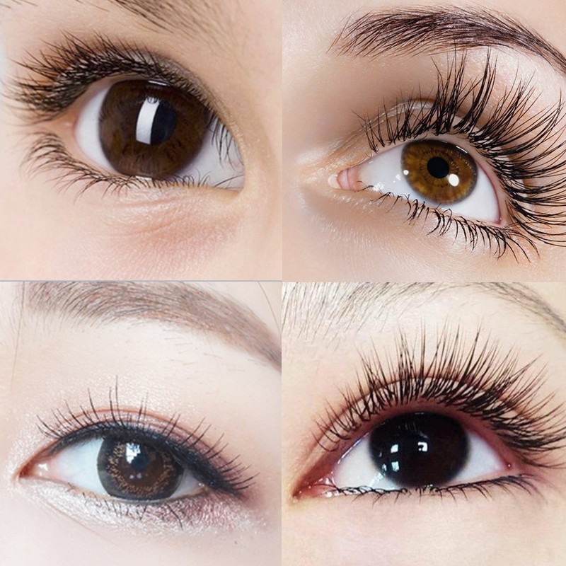 Lunamoon Volume Eyelashes, 4D W Eyelash Extension, Premade Fans Eyelash