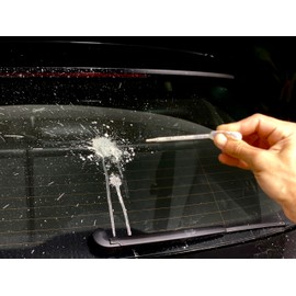 Pranks and Prank Ideas - Fake Bird Poop for Cars Special Effects Halloween Prank Stuff Gag Gifts Toys Practical Jokes Bad Parking Funny