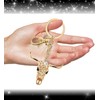 Aqua79 Longhorn Skull Keychain - Gold 3D Sparkling Charm Rhinestones