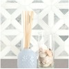 Tenedos Bianco Dolomite with Grey Carrara Geometric Polished Marble Mosaic