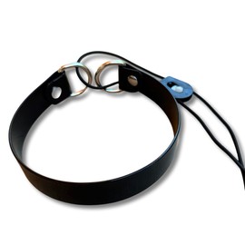 SparkDog Collars HiFlex Quick Adjust E-Collar Replacement Strap Dog Training Collar Fits Educator, Garmin, Dogtra, Sportdog Replacement Strap, BioThane®-Made in The USA (HiFlex Black, 3/4" Small Dog)