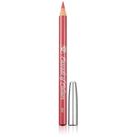 Cascade of Colours Lip Liner Pencil 304