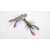 Predilures Crayfish Lure 3D Combo pack 2 X 110mm 16g