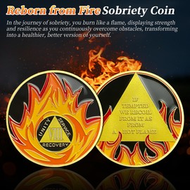 Reborn from Fire Eight Year Sobriety Coin - Recovery Flames 8 Year AA Coins - NA AA Chips and Medallions - 1-30 Prime Living Clean Narcotics Alcoholics Anonymous Gifts for Men Women