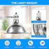 Simple Deluxe 150W Reptile Heat Bulb and 8.5 inch Clamp