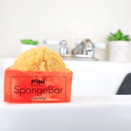 Primal Elements Island Oasis SpongeBar Soap (Pack of 2)