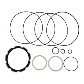 YQABLE 6669455 Drive Motor Seal Kit Compatible with Bobcat Loader S130 S150 S160 S175 S185 751 753 763 773