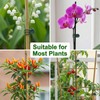 50pcs Plastic Clips Reusable Holder for Stems Support Clip