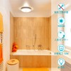 Small Motion Sensor LED Ceiling Light, Light Fixture, Hallway, Entrance