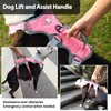 Huntboo Escape Proof Harness for Dogs, No Escape Dog Harness,