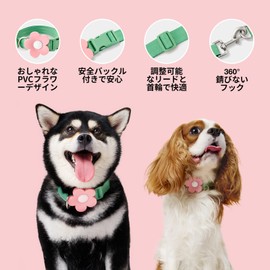 VETRESKA Flora Dog Harness, Leash and Collar Set, No Pull Dog Vest Harness for Walking and Training, Adjustable, Easy Control and Soft Padded Pet Harness and Backpack for Small Medium Large Dogs, XXS