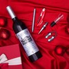 Kato Tirrinia 5 Pcs Wine Accessories Gift Set, Wine Opener