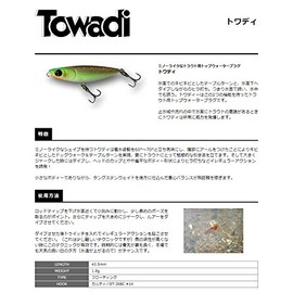 スミス(SMITH LTD) トップウォーター トワディ 43.5mm 1.8g パールオレンジベリー #26