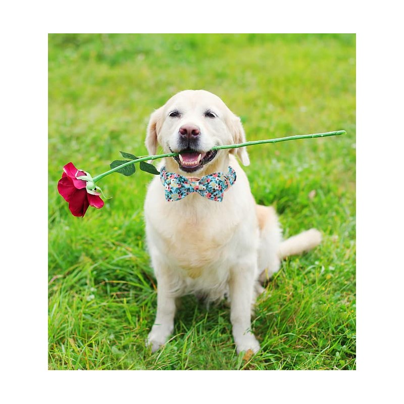 Unique style paws Dog Collar Bow tie Collar Adjustable Collars