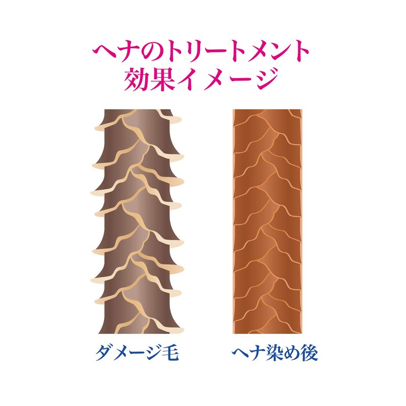 Be*cloth Henna Paste (Orange + Brown), Made in Japan with