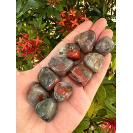1/4 Pound African Bloodstone Tumbled Stones, Polished African Bloodstone Rock, Genuine African Bloodstone Stone Bulk Lot