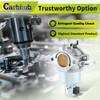 Carbhub 591731 Carburetor Replacement for 591731 796109 594593 590400 796078