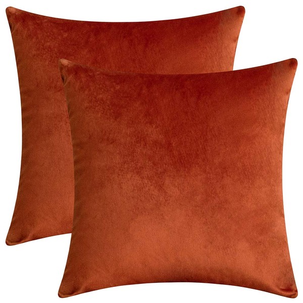 Rythome Set of 2 Comfortable Velvet Throw Pillow Cases Decorative