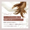 Adrence Fontaine AD&F Wig, Shampoo and Treatment Set, For Wigs,