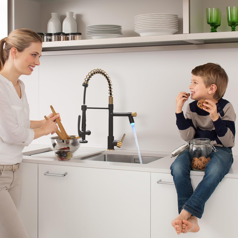 Fapully LED Kitchen Faucet with Pull Down Sprayer,Black&Gold Commercial Kitchen