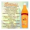 Curcuma Concentrado Con Pulpa D Fruta 400ml Shelo Nabel S621