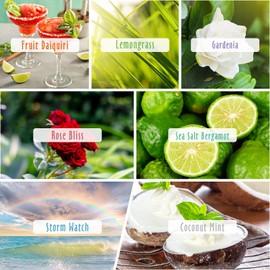 Fragrance Oil, MitFlor 14 Packs of Summer Scented Oils Set, Soap & Candle Making Scents, Aromatherapy Essential Oils for Diffusers for Home, Fruit Daiquiri, Gardenia and More