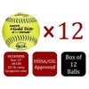 Worth | Slowpitch Softballs | GSL Approved | 12 Count